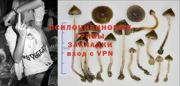 первитин Балахна