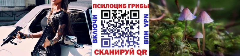 Псилоцибиновые грибы мицелий  Куровское 